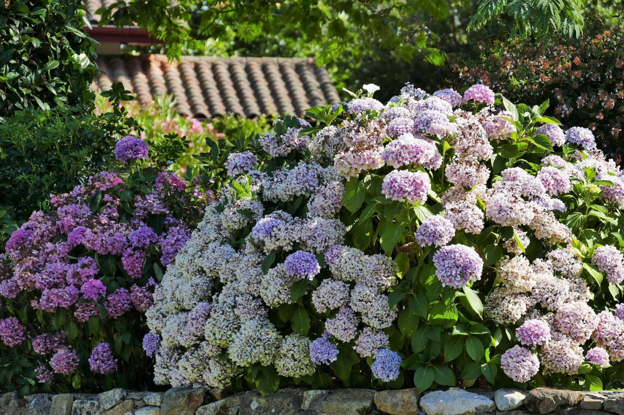 Baskoparadis I Eco-gites I Calme I Vue I Anes I Jardin I Montagne I Nature