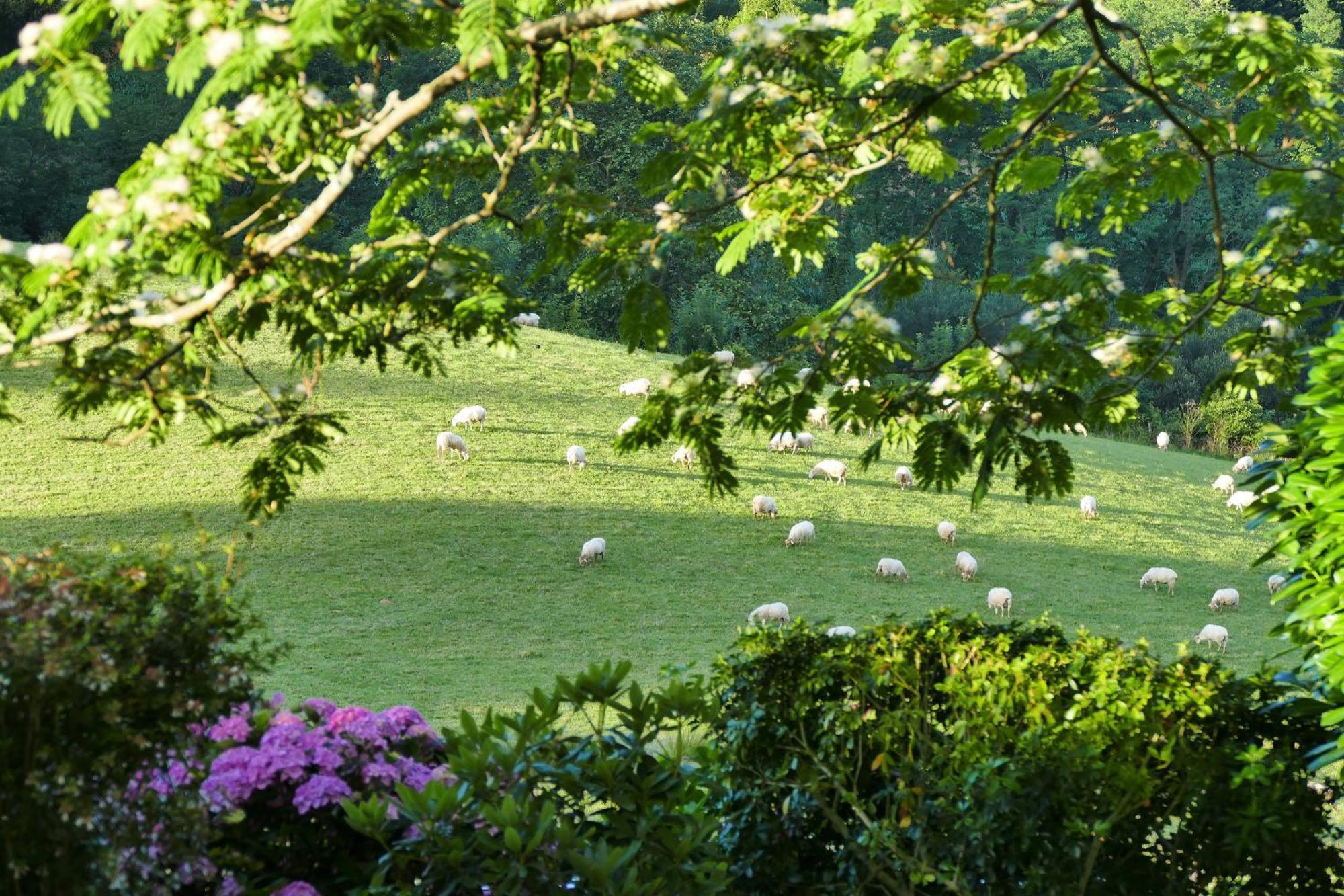 Baskoparadis I Eco-gites I Calme I Vue I Anes I Jardin I Montagne I Nature