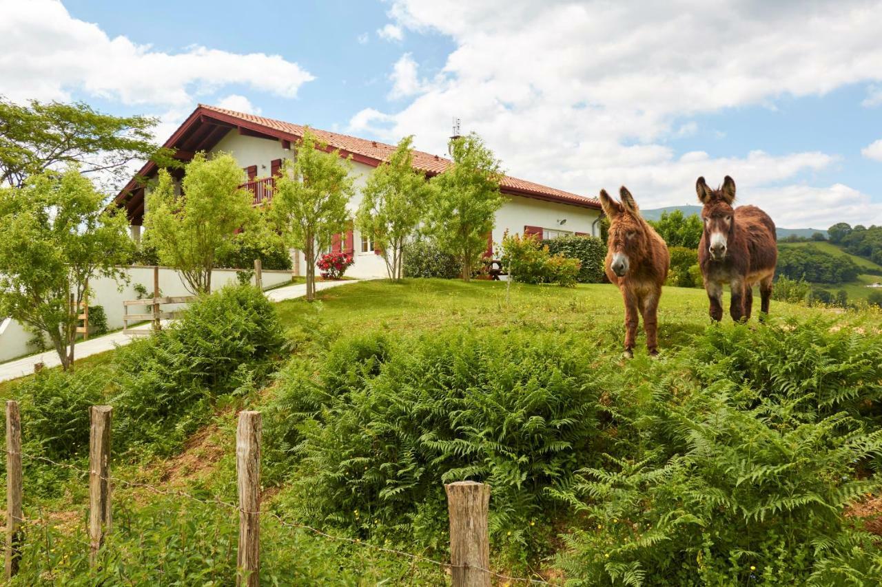 Baskoparadis I Eco-gites I Calme I Vue I Anes I Jardin I Montagne I Nature Louhossoa
