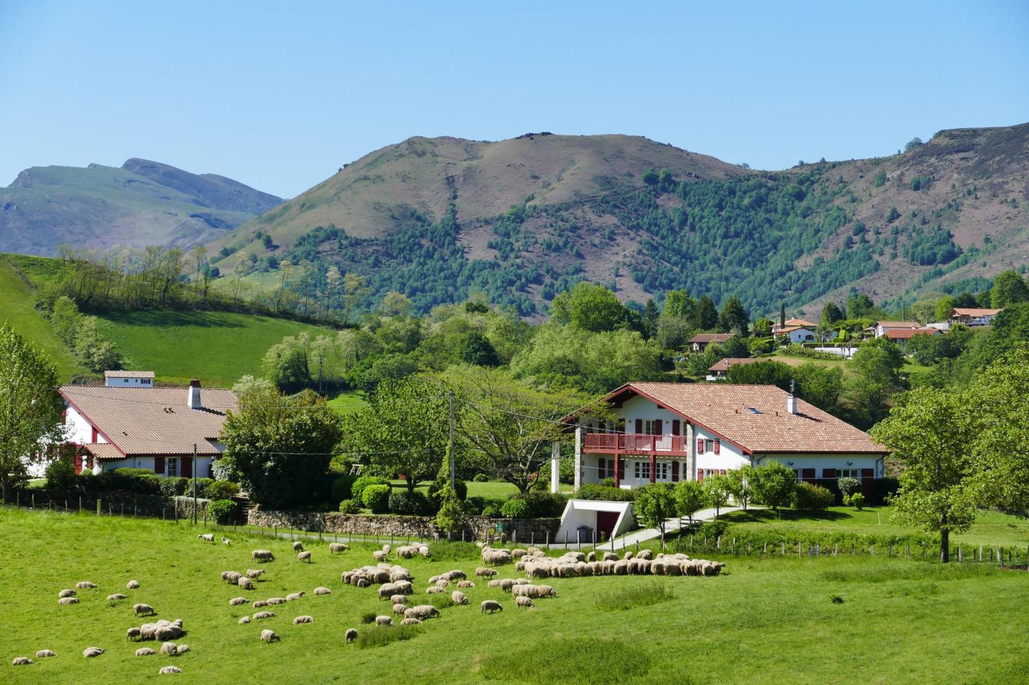 Apartment Baskoparadis I Eco-gites I Calme I Vue I Anes I Jardin I Montagne I Nature *